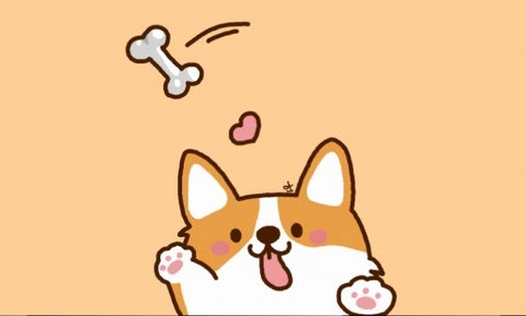 Saint Bernard AMV