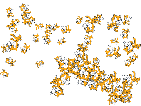 lots of scratch cats growing