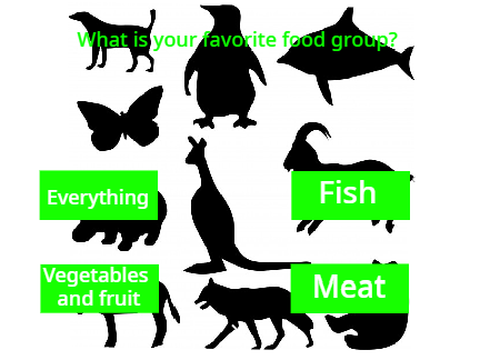 What is your animal?