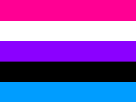 Make Your Own Pride Flag!