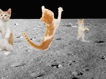 #cats dancing in space 