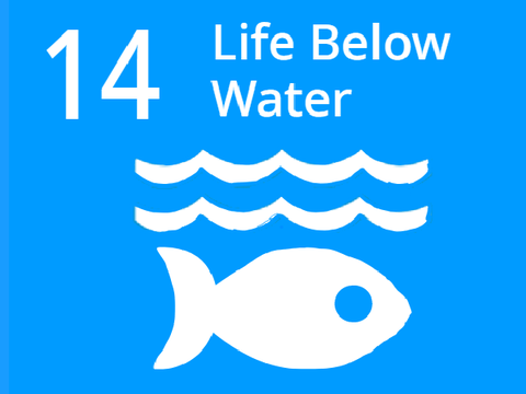 Global Goal 14: Life Below Water