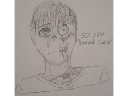 SCP-2234