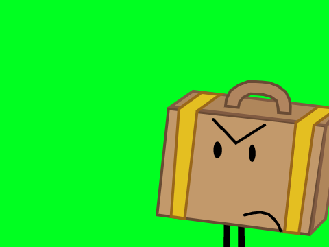 Suitcase uses a Ban Stamp (Green Screen) 
