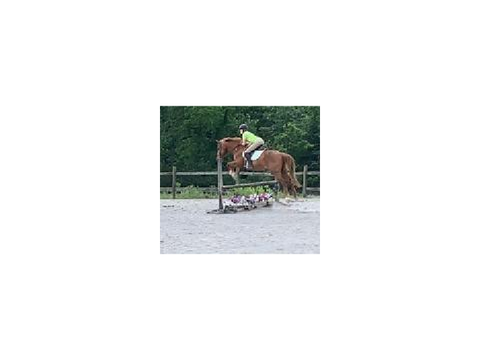 Jumping!