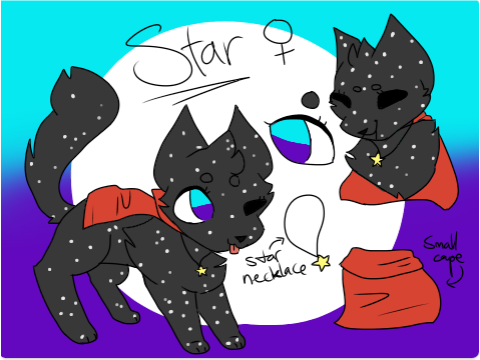 Star 2019 REF sheet!!