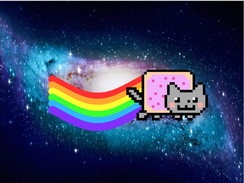 nyan cat thing