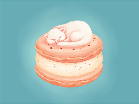 cat&macaron