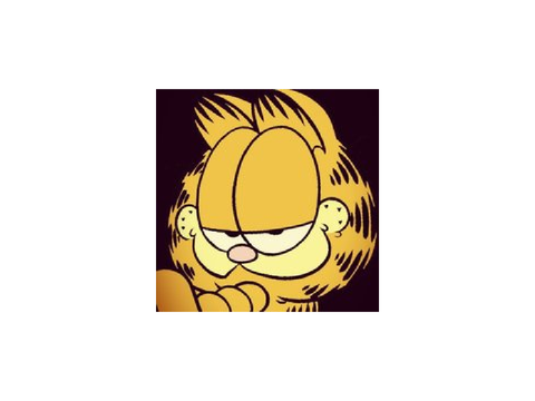 ٩(๑´0`๑)۶ Icon 4 @garfield91