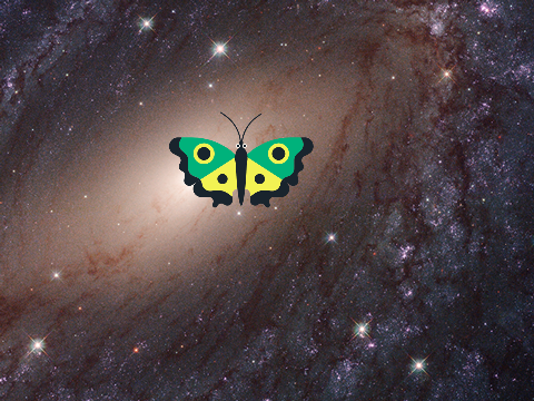 hit the butterfly