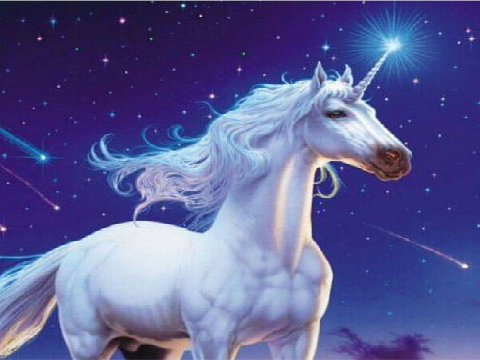Unicorn pic for friend