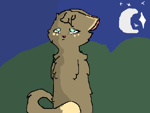 idk just cos 