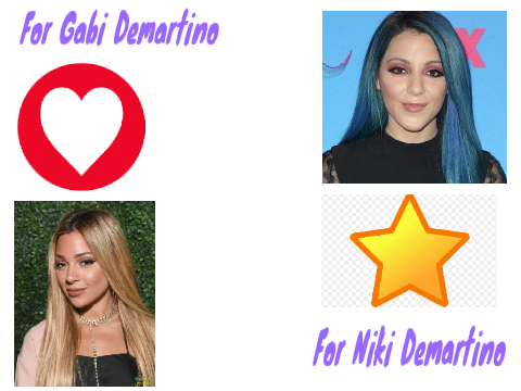 Gabi Demartino or Niki Demartino?