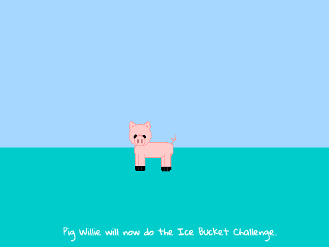 Pig Willie does the Ice Bucket Challenge