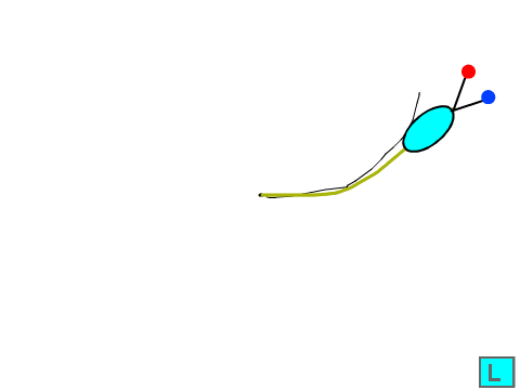 Path