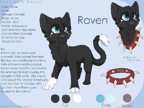 Raven/his mom bird/his grandma Bloodbird