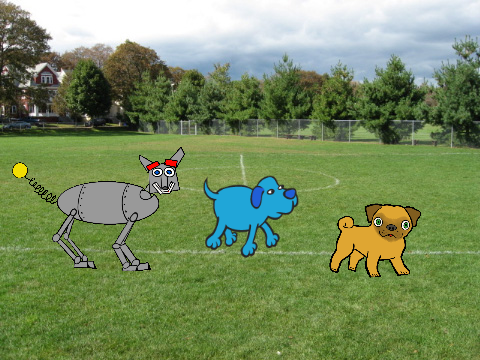 Doggy Party Starter Kit