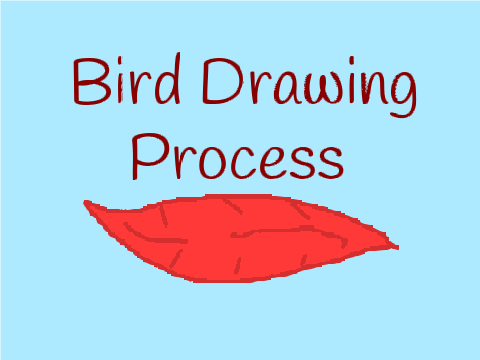 Bird drawing process