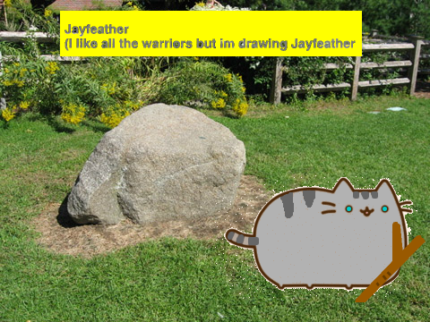 Pusheen CC *OPEN* Jayfeather