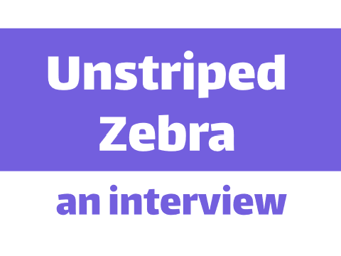 An Interview with UnstripedZebra