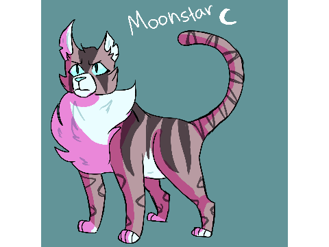 kitties for rp!!