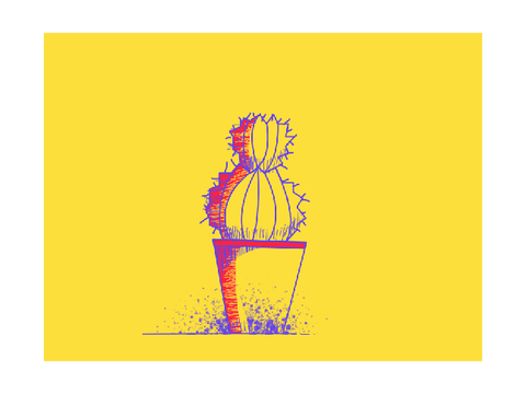 cactus