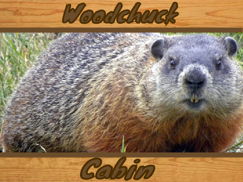 Woodchuck Cabin Logo Proposal