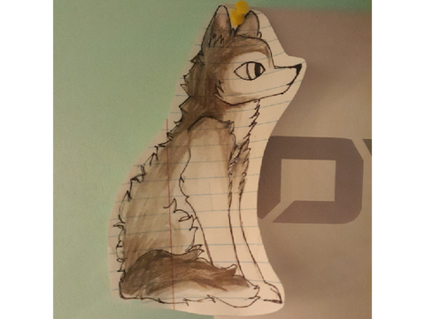 Husky-wolf Ethan