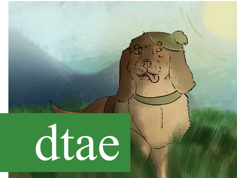 Buddy - dtae