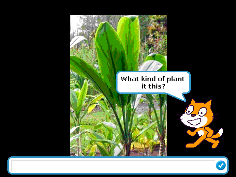 Hawai'i plant quiz