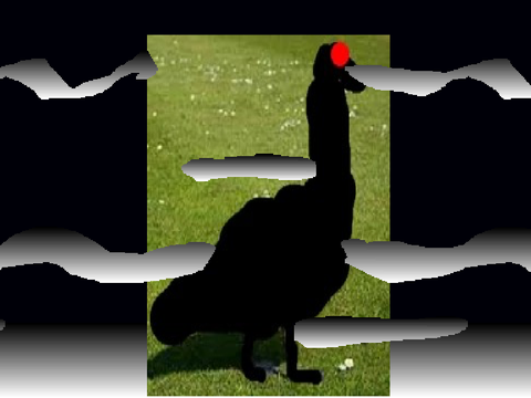 The most epic dark goose stare ever 