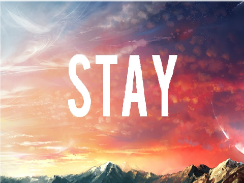 stay 
