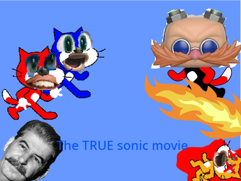 The TRUE sonic movie