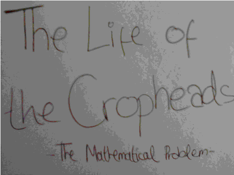 The Life of the Cropheads - The Mathematical Problem
