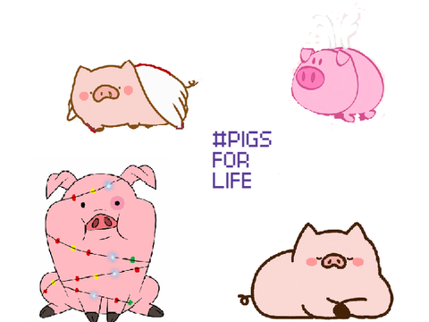 The world of pigs (^oo^)