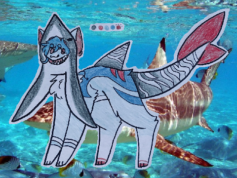 shark boy | dt w/ cityiights ✦