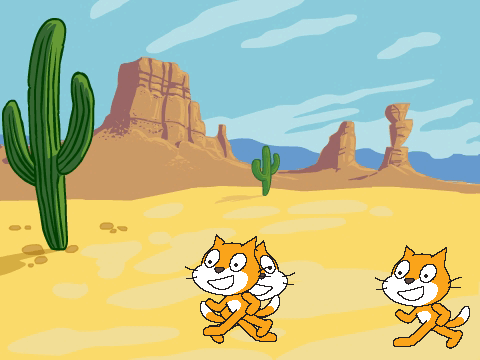 3 lost cats