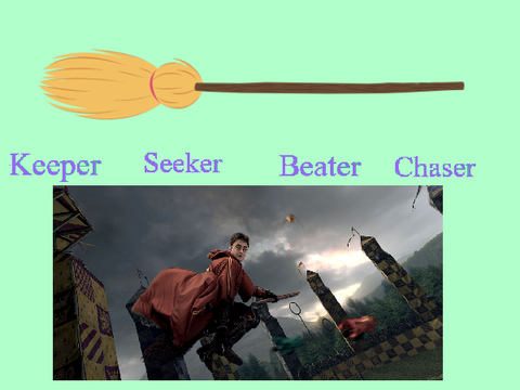 Chaser, Keeper, Beater, or Seeker