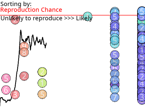 Natural Selection Simulation