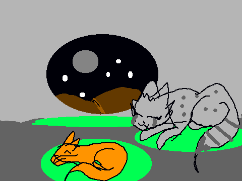 Jaypaw Part 3 The Capture