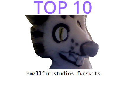 top 10 fursuit makers!