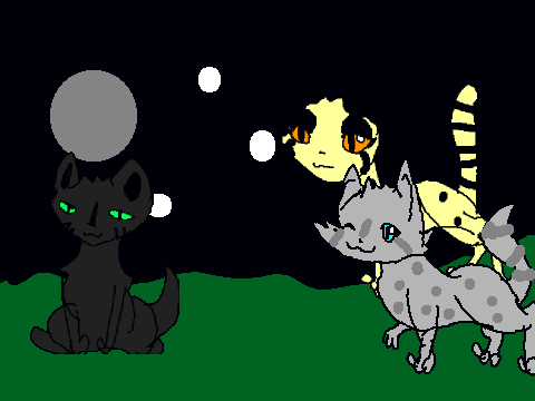 Jaypaw part 4 SwiftClan