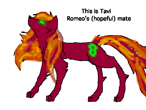Romeo's Mate Contest! [ENTRY]