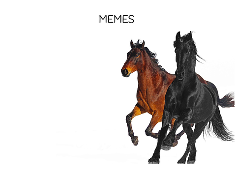 Meme song playlist