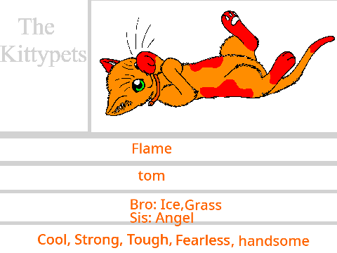 The Kittypets - Flame,Ice,Grass, and Angel