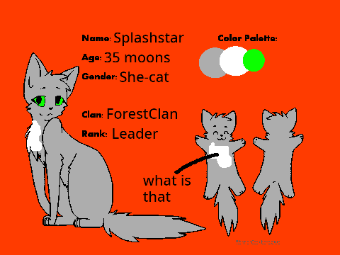 ForestClan RP - Splashstar