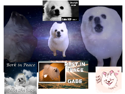 BORK BORK BORK BORK!!!!!!!