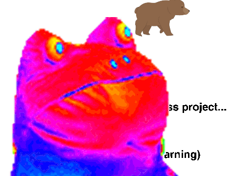 Rainbow Frog\ Bear
