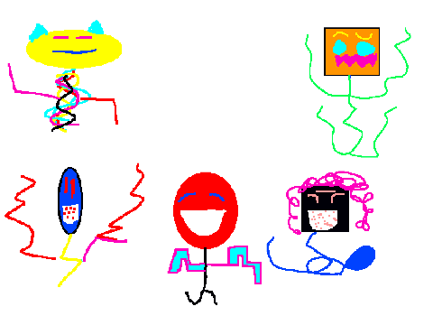 Jasella`s harlem shake