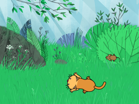 Cat & Mouse